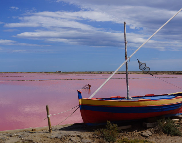 https://www.campingbonport.com/wp-content/uploads/2022/03/marais-salins-camargue-100x79.jpg