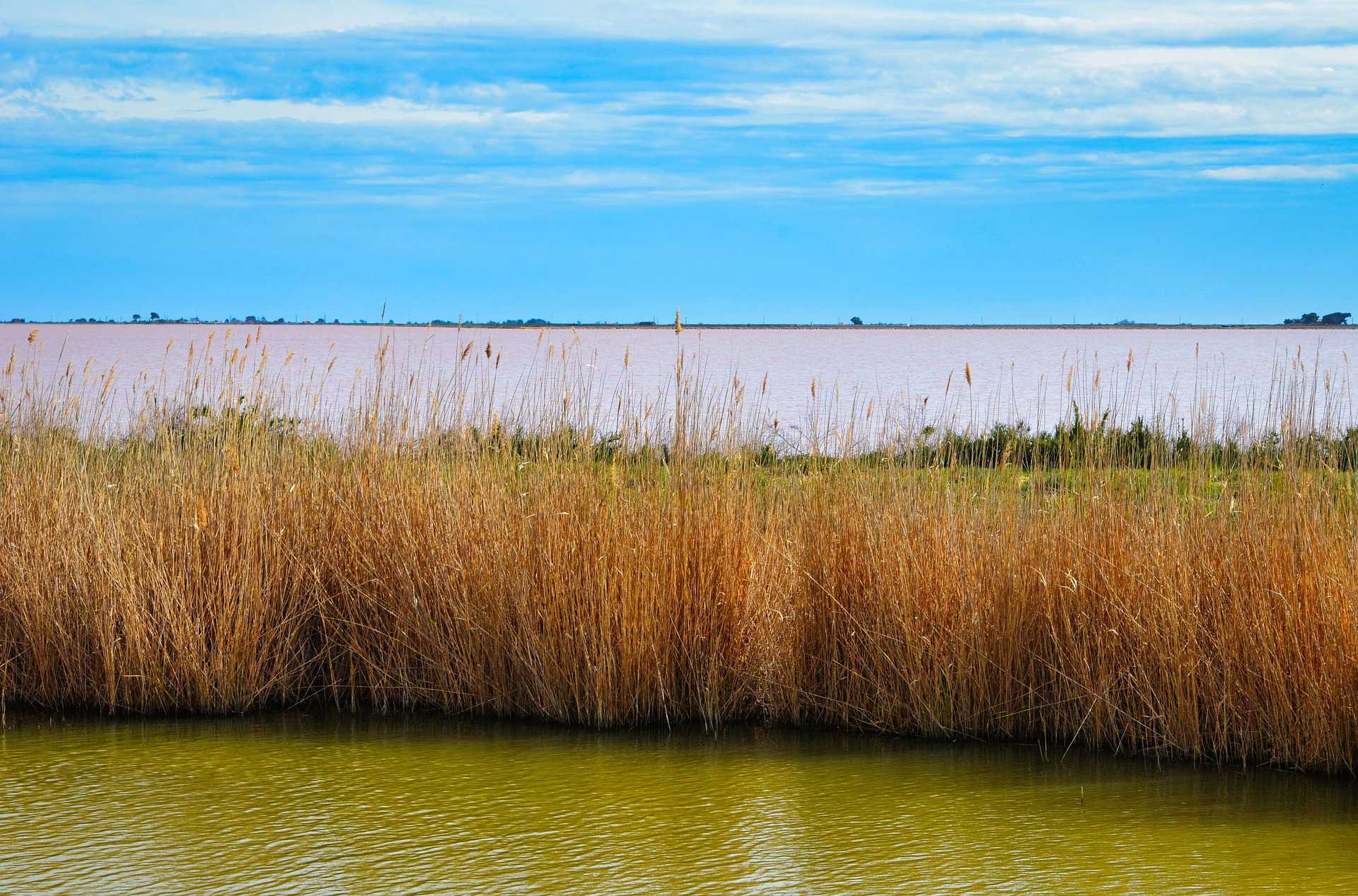 Marais-salant-Camargue