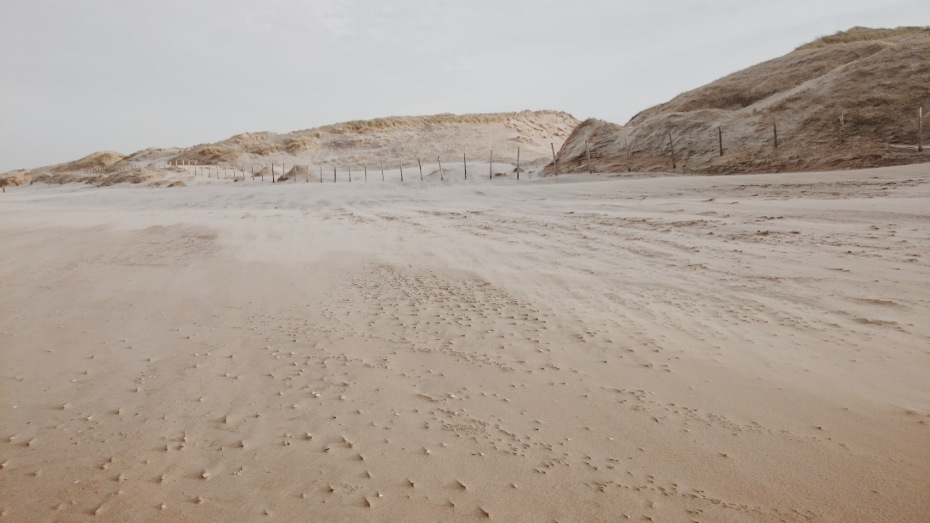 https://www.campingbonport.com/wp-content/uploads/2023/01/plage-espiguette-Camargue-100x56.jpg