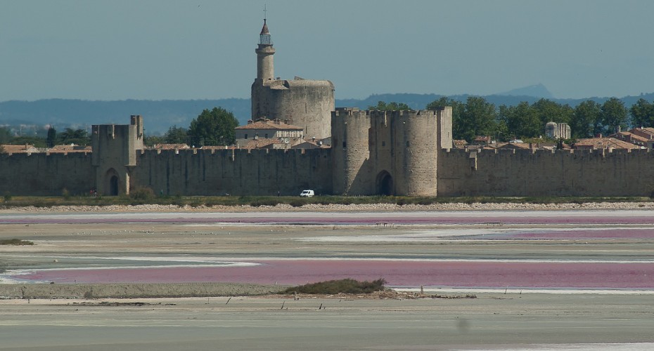 salin-aigues-mortes