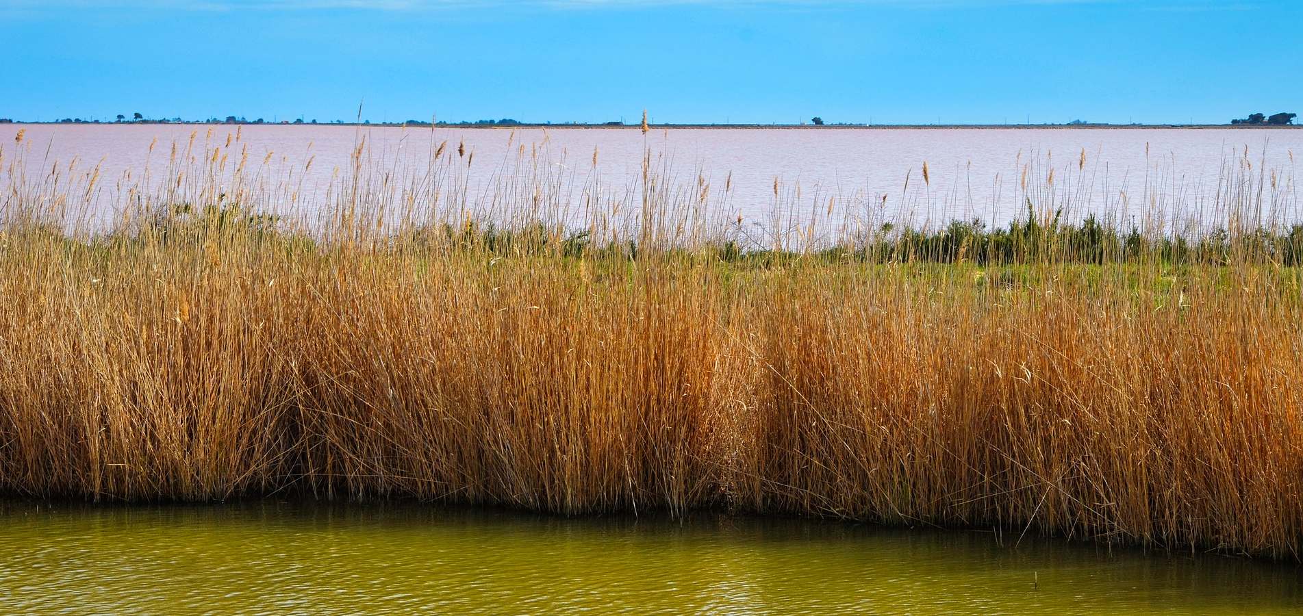 visiter-salin-de-giraud