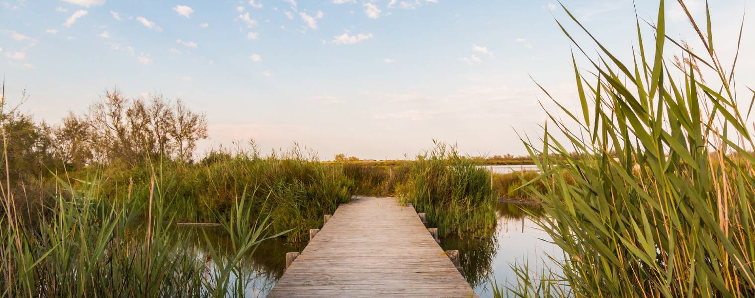 camping camargue pas cher